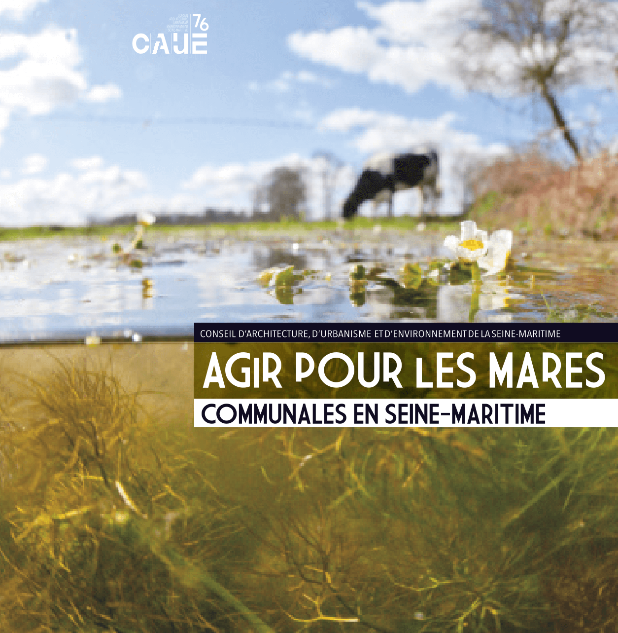 Agir pour les mares communales en Normandie